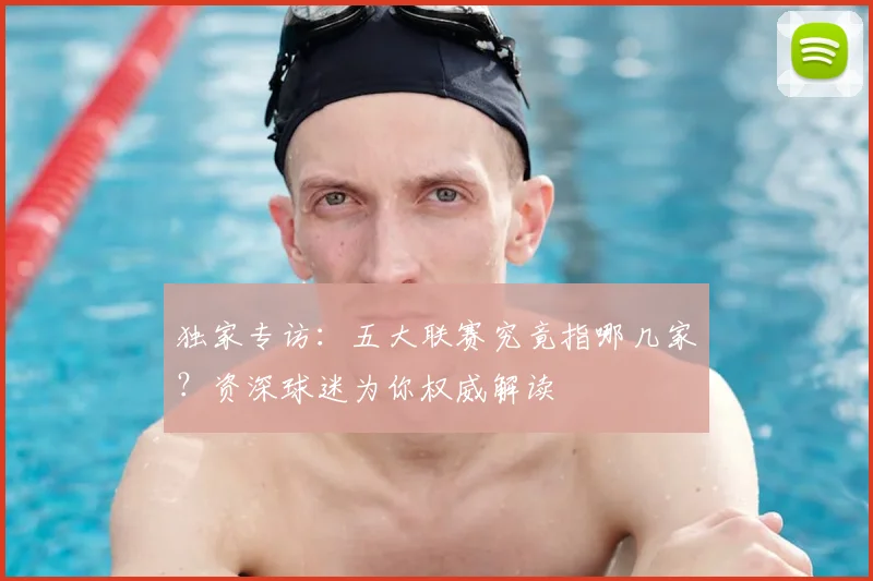 独家专访:五大联赛究竟指哪几家?资深球迷为你权威解读